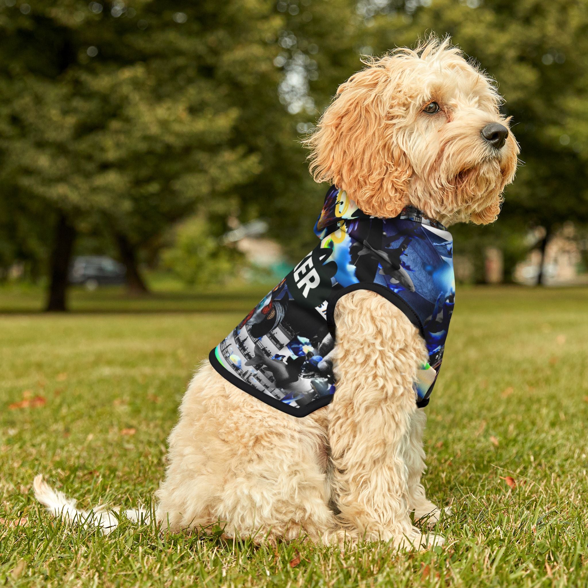 Busker Collage Pet Hoodie — Colorful Urban Music Graphic