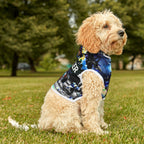 Busker Collage Pet Hoodie — Colorful Urban Music Graphic