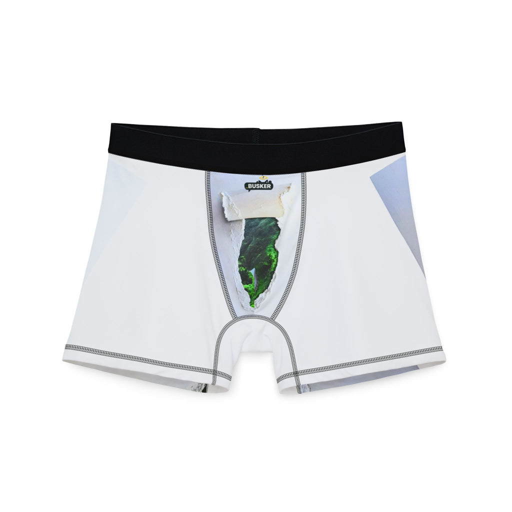 Men's Boxers (AOP)