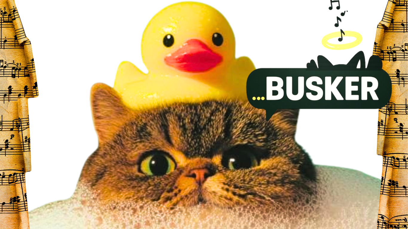 Cat with Rubber Duck on the Head like a Halo saying Om...BUSKER