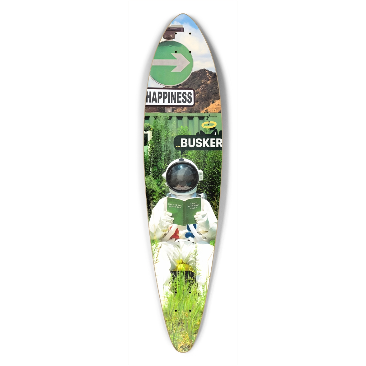 Distant Listener ...BUSKER Pintail